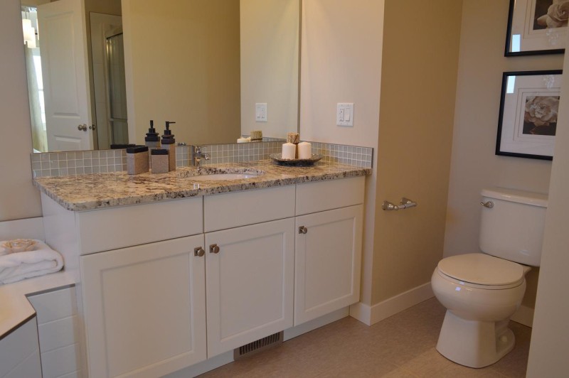 5-different-designs-for-bathroom-vanities-63178287ae345.jpg