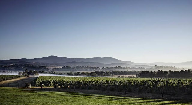 Yarra valley private winery tours