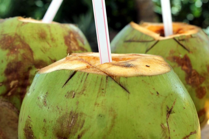 coconut-water-as-sugar-patient-fruit-is-it-effective-and-safe-637fb29dd1bef.jpg
