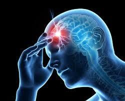 Effects of Waklert last longer